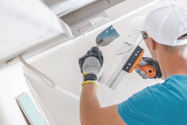 Best Comprehensive Air Testing for Mold Contaminants  in Elkhart, TX